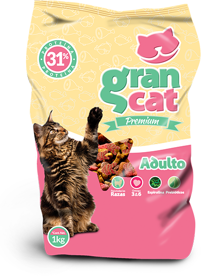 GRAN CAT  KG (A)