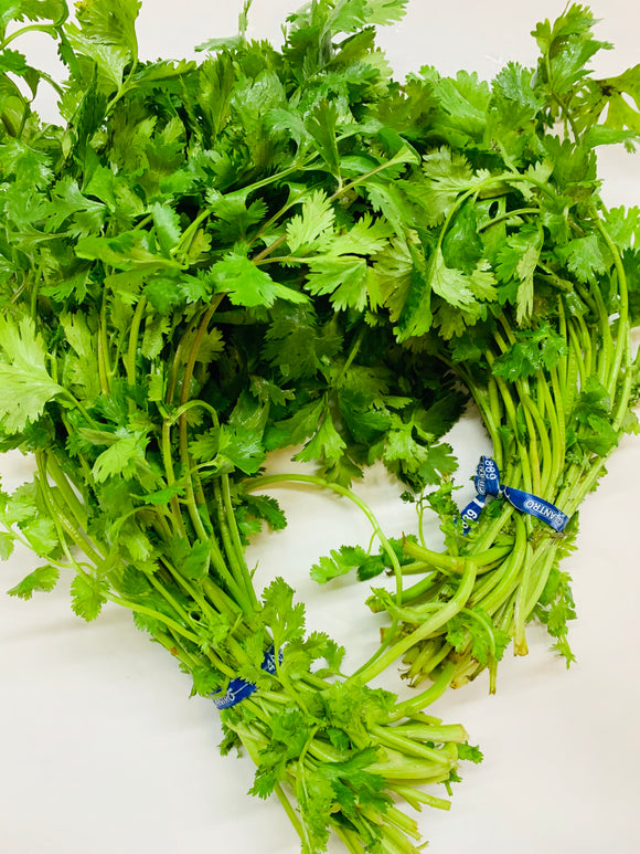 CILANTRO MANOJO CHICO PZ