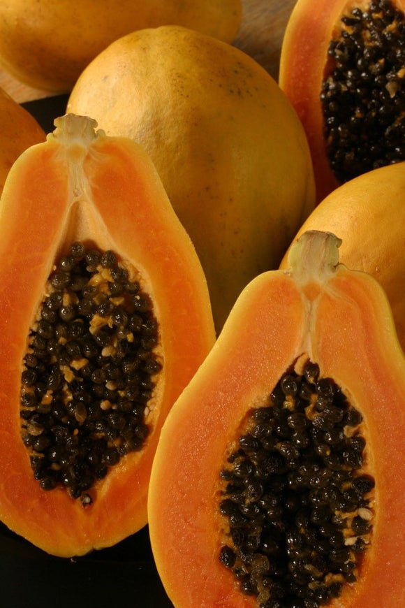 PAPAYA VERACRUZ