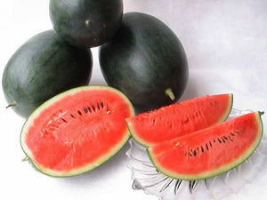 SANDIA NEGRA