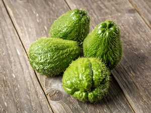 CHAYOTE