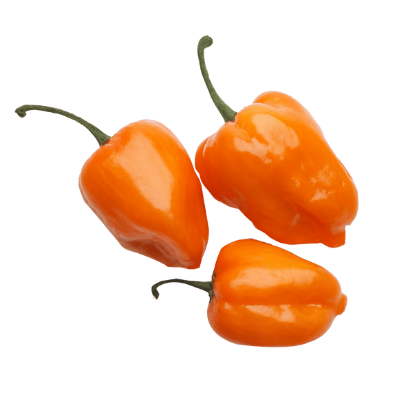 HABANERO